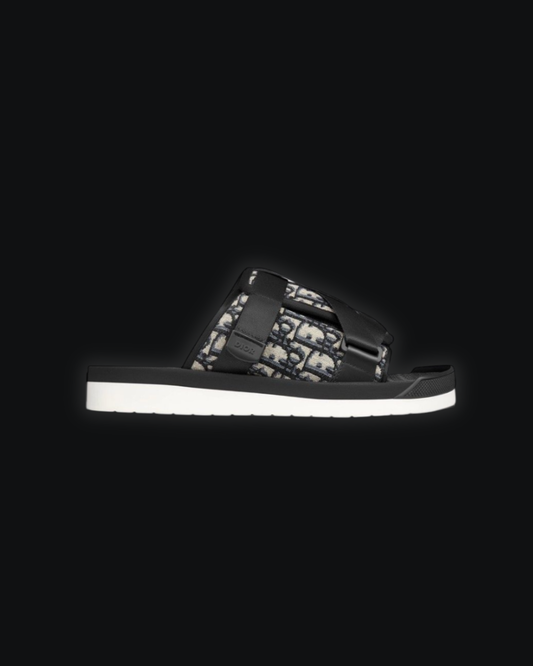 DIOR SLIDES